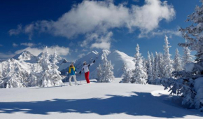 Aparthotel DAS Hochkönig Ramsau Am Dachstein